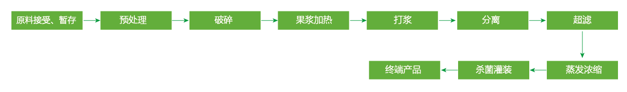 藍(lán)莓、草莓、桑葚濃縮汁
